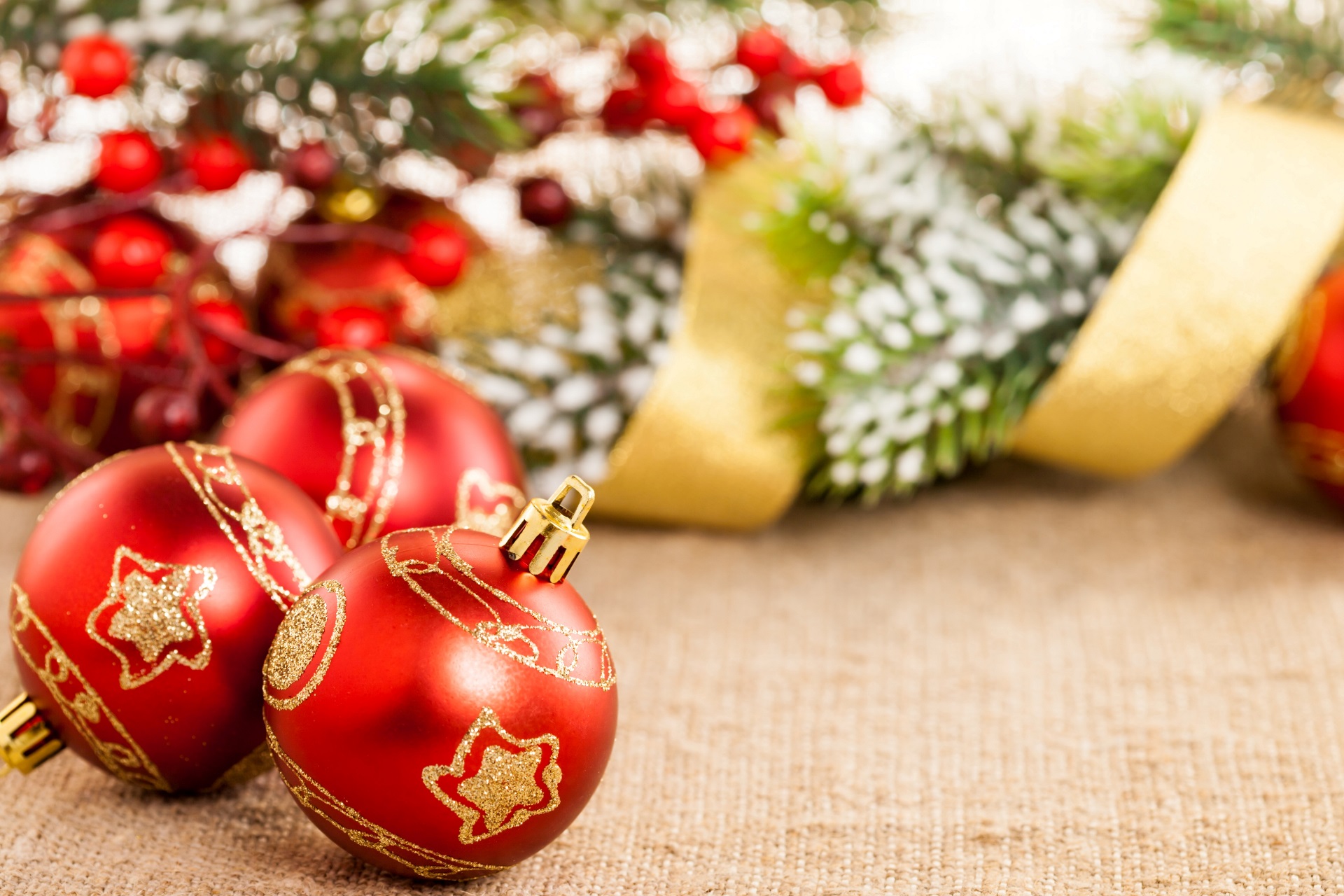 2024 Festive Season Expressions of Interest