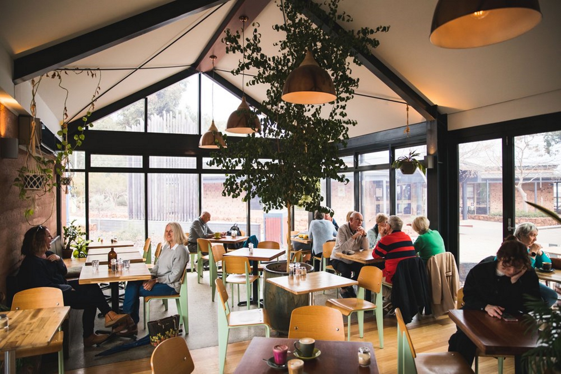 Works Notification – Mason & Bird and Changes to Cafe Operations