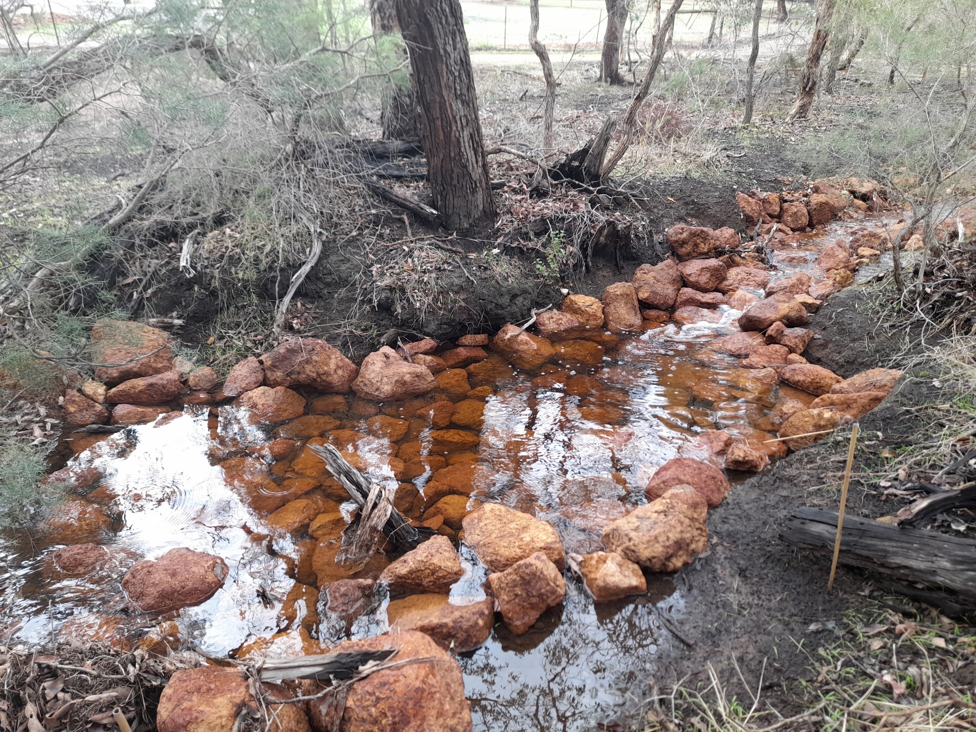Funding Boost for Community Projects to Protect Swan and Canning Rivers