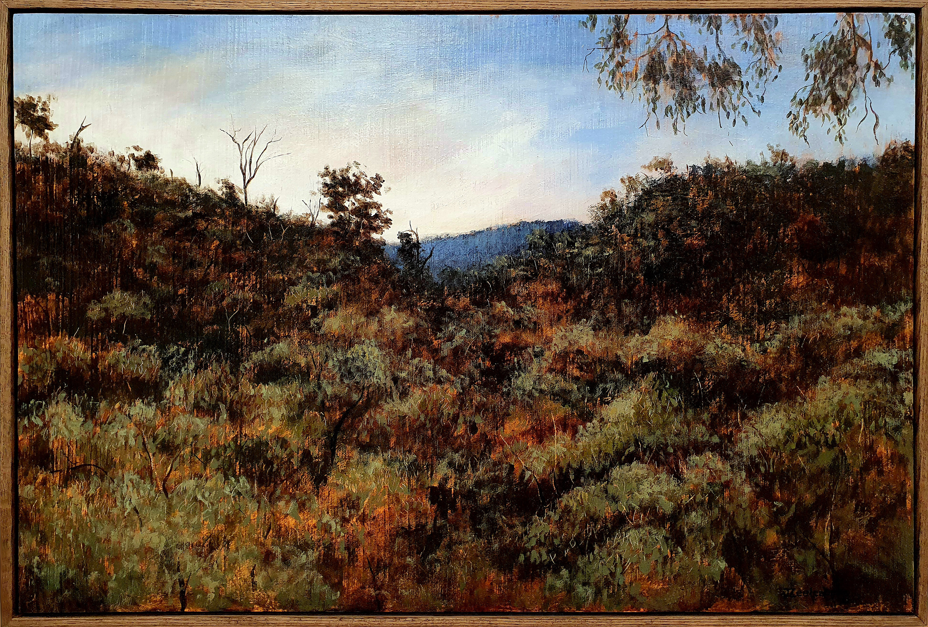 Art Awards, Johanna Zeelenberg, The Last Glimpse (Kalamunda National Park - Hummerston Road), 2023