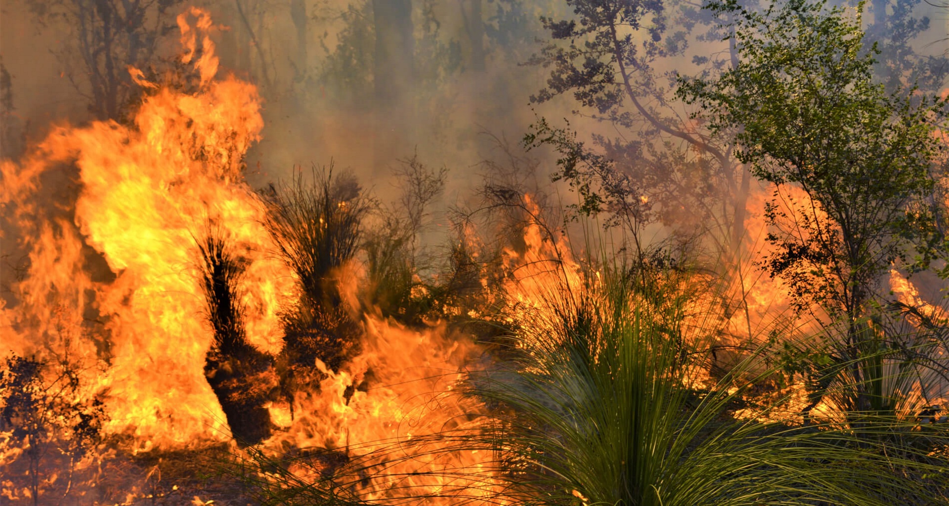 Public Notice: Fire Hazard Reduction Notice Compliance Period