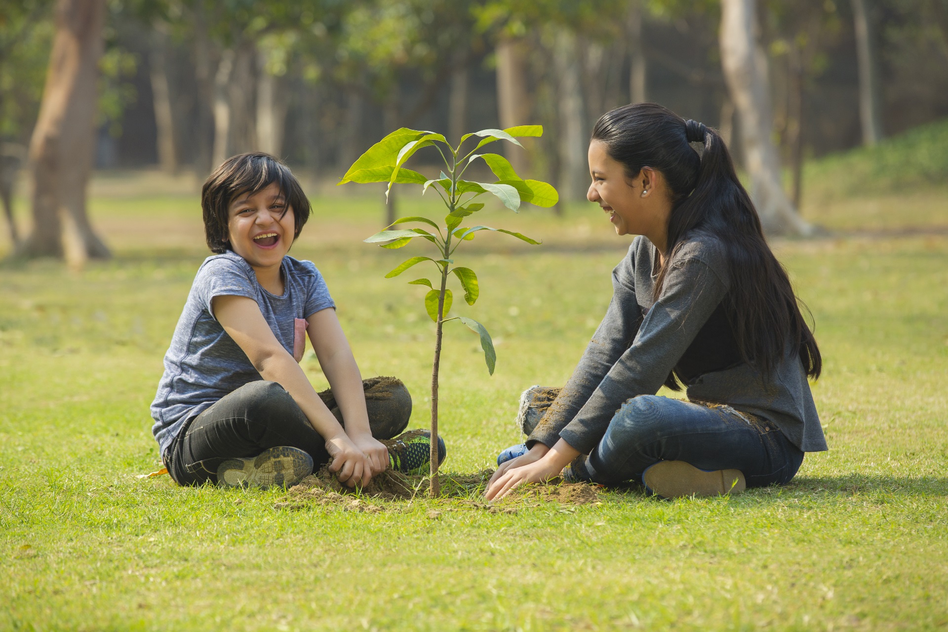 City Celebrates New Babies with Annual Commemorative Planting Day