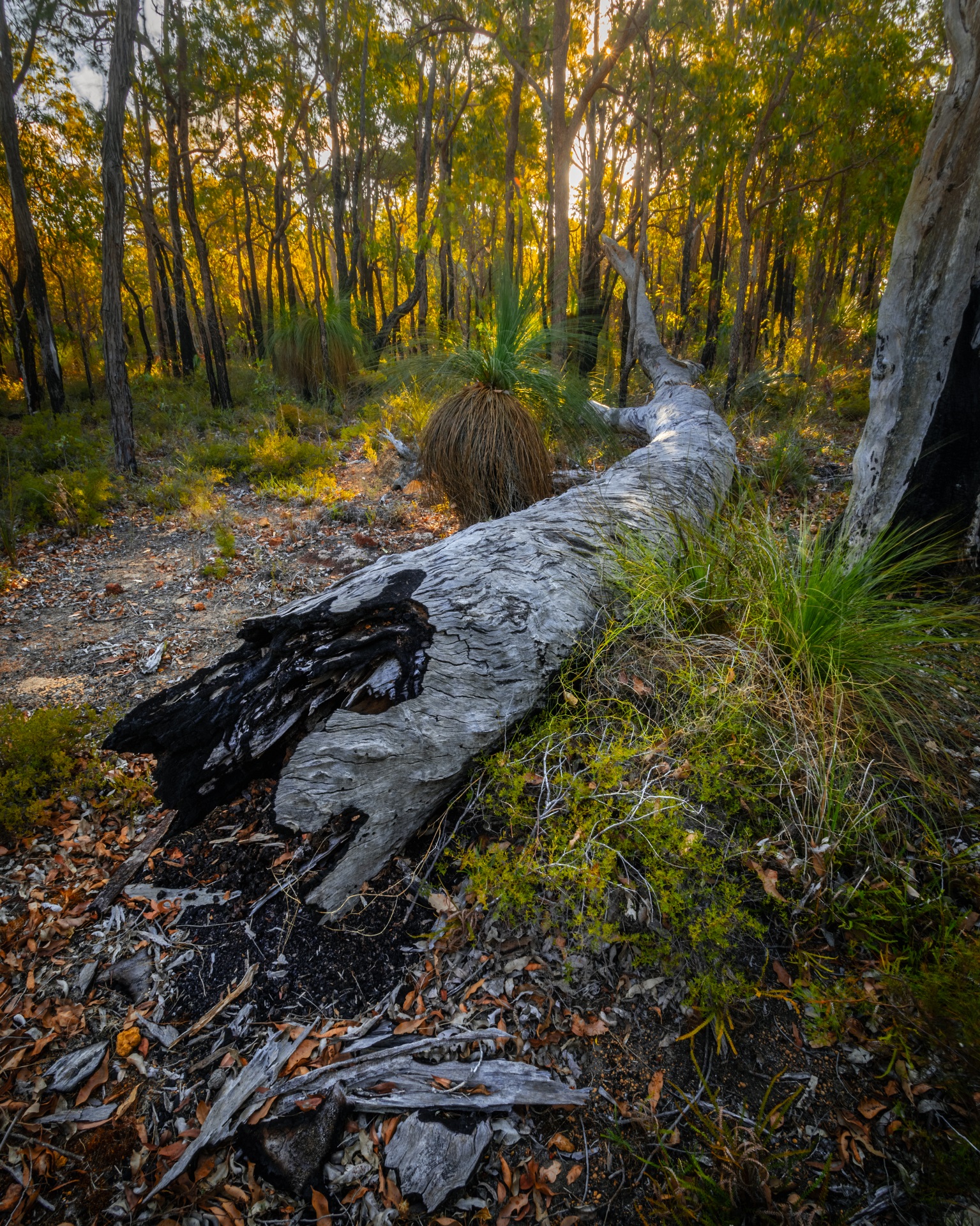 City Secures Funding for Inclusive Hiking Program