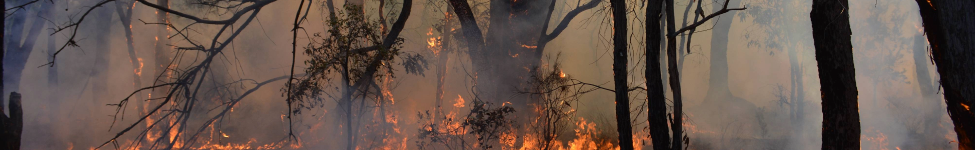 Prohibited burning period now in effect