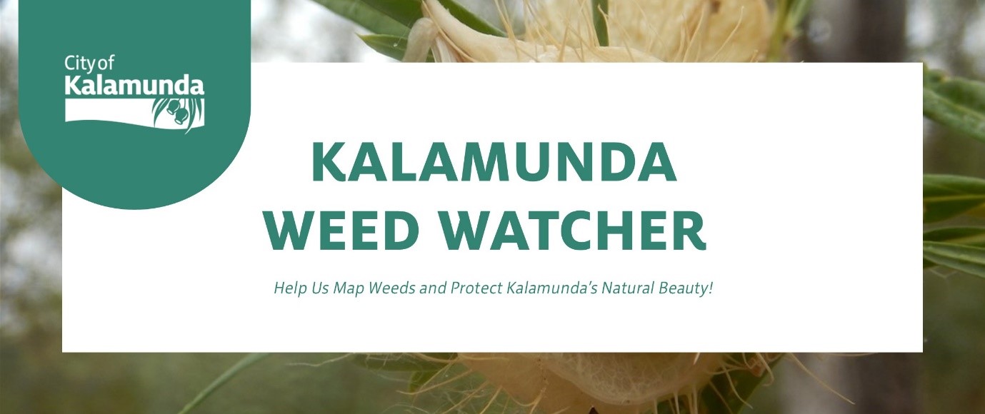 kalamunda weed watcher