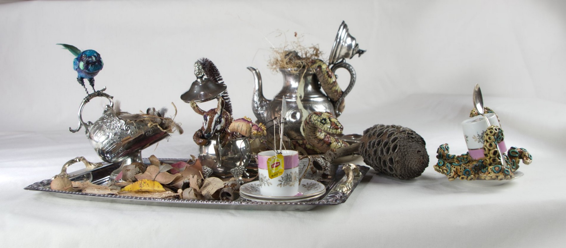 Exhibition: The Splendiferous Mélange of Eclectic Oddities