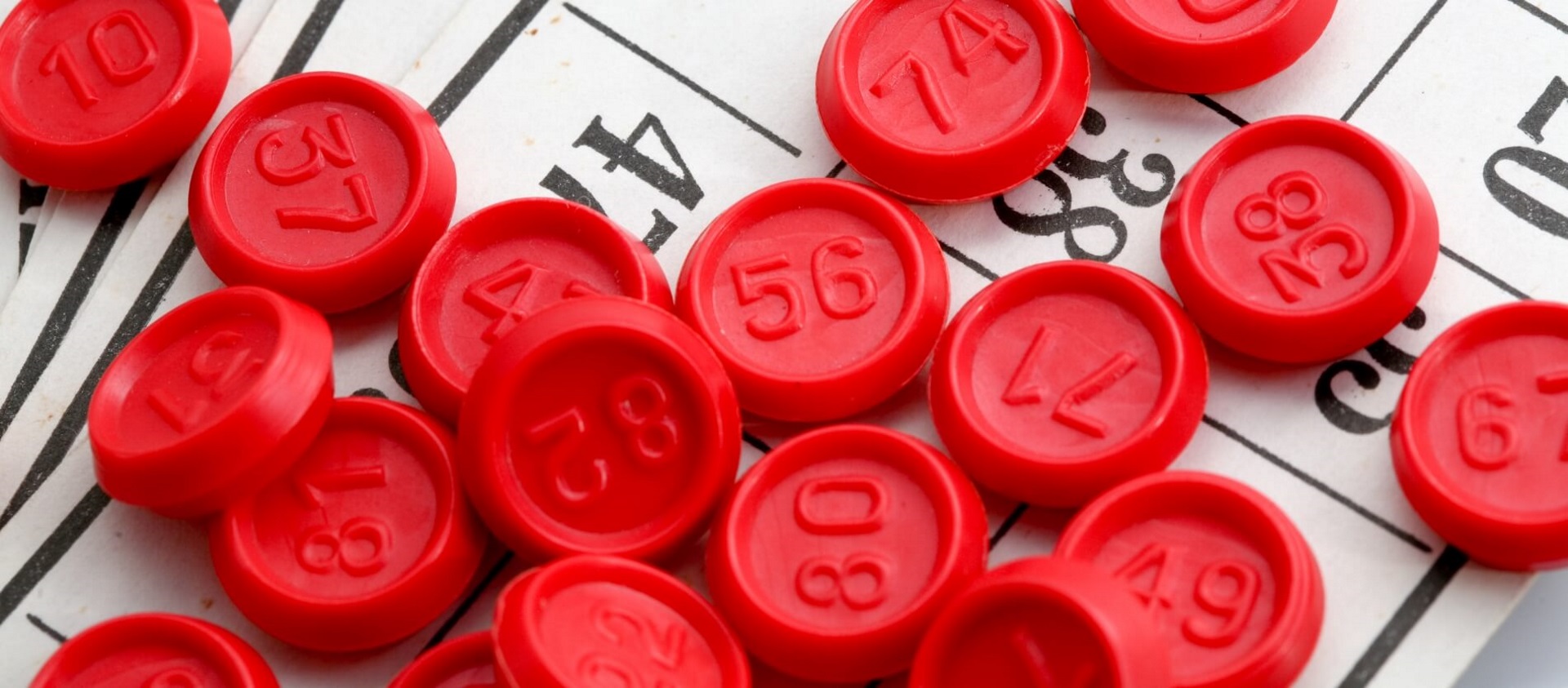 Celebrating Seniors Week - Light lunch and bingo