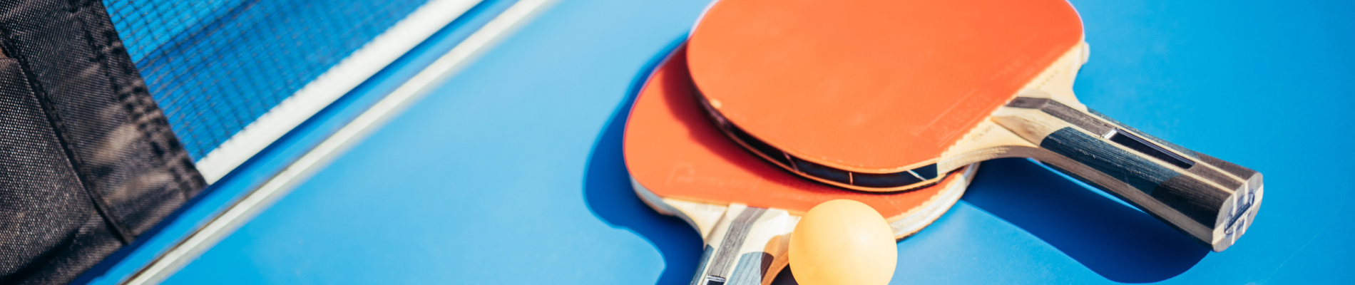Recreation July School Holidays: Table Tennis