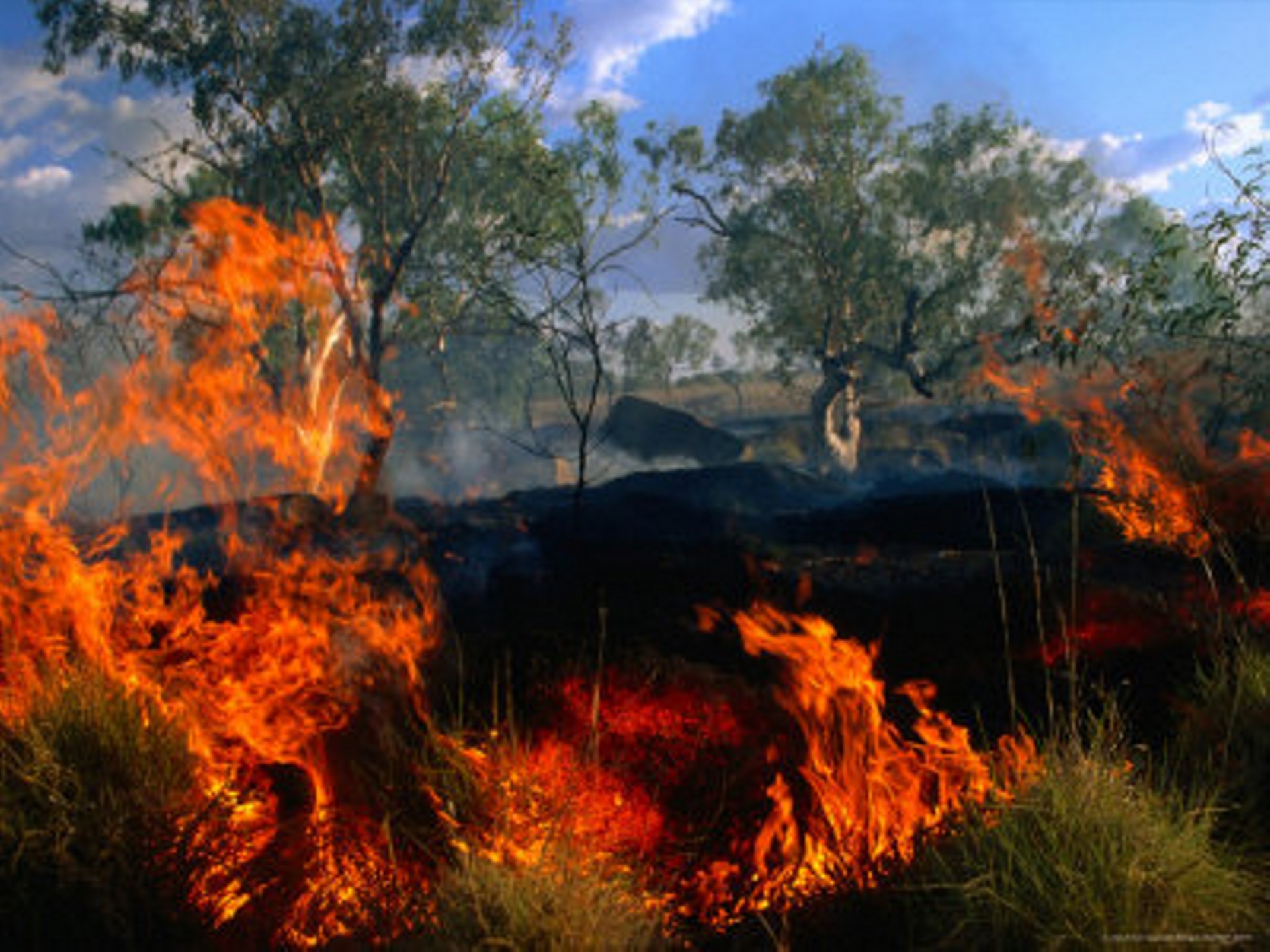 Total Fire Ban Declared - Wednesday 5 March 2025