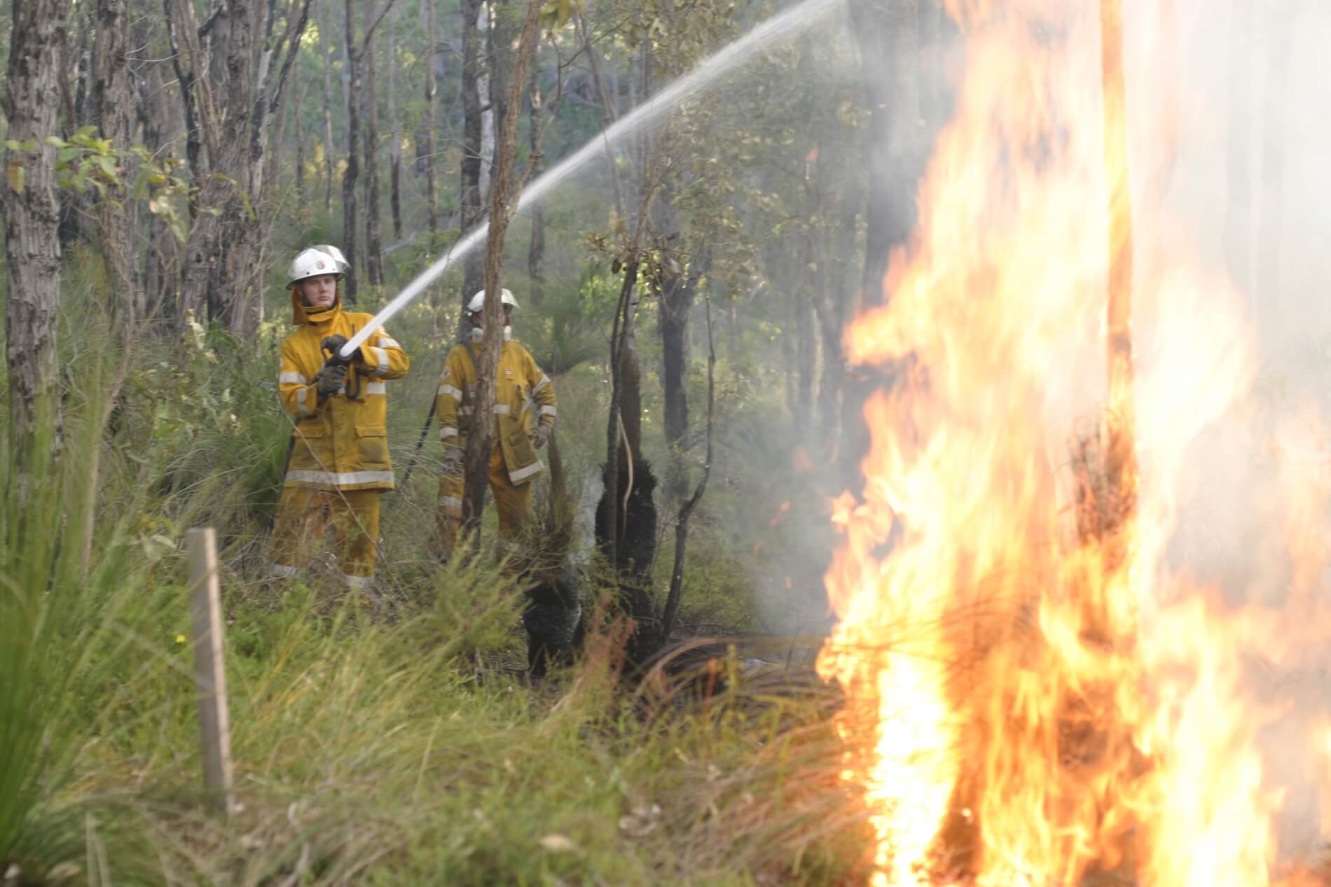 Firefighters hosing a fire in local bushland