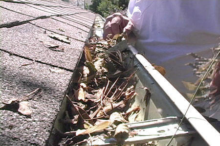 A person starting to clear a house gutter filled with dry tree leaves. 