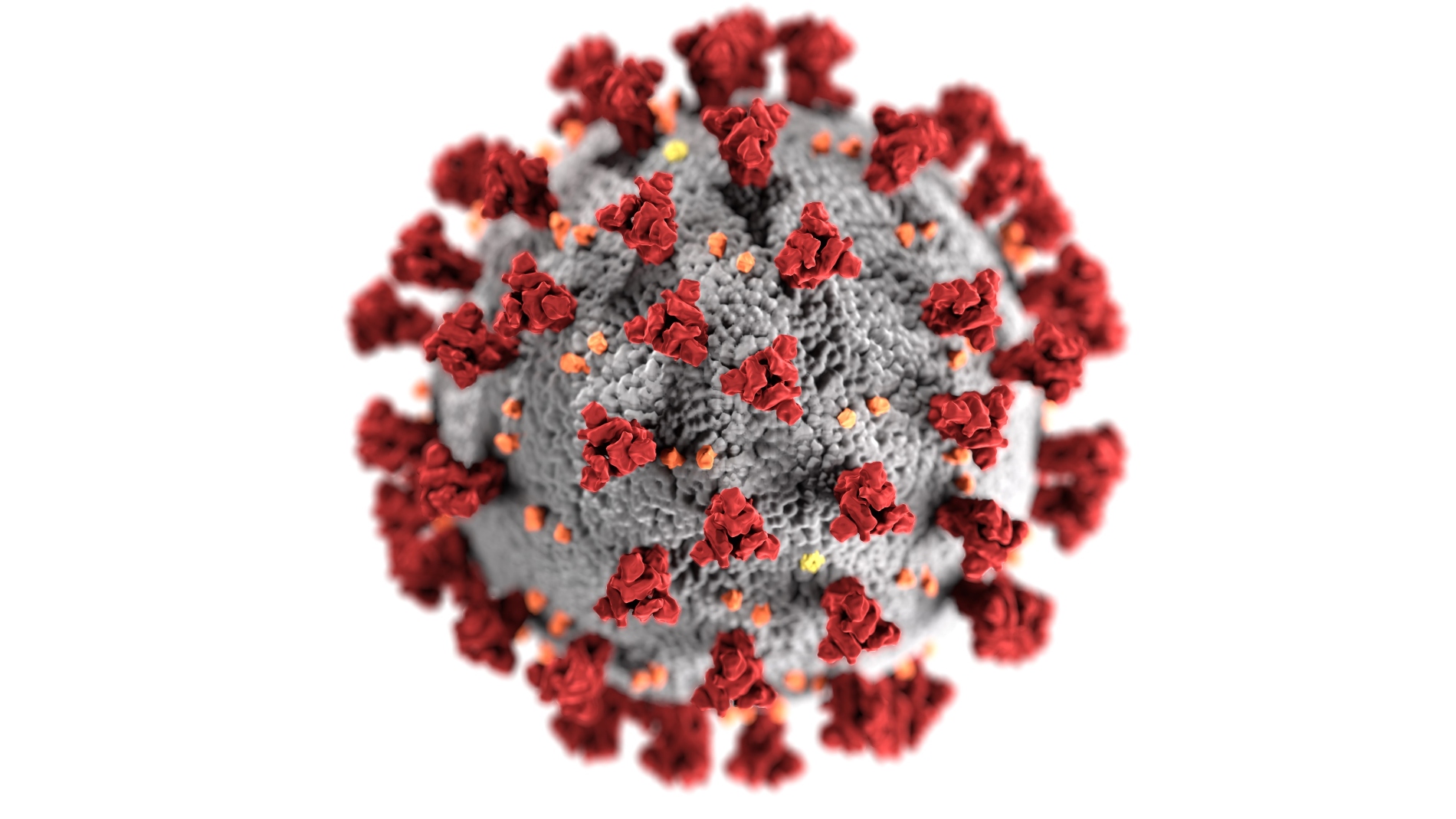 This illustration, created at the Centers for Disease Control and Prevention (CDC), reveals ultrastructural morphology exhibited by coronaviruses