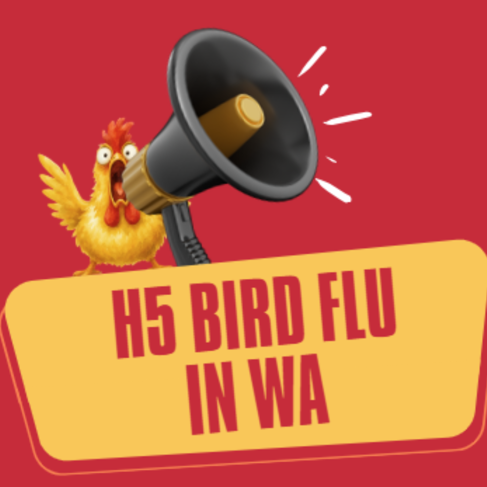 H5 Bird Flu (Avian Influenza): Information for our community