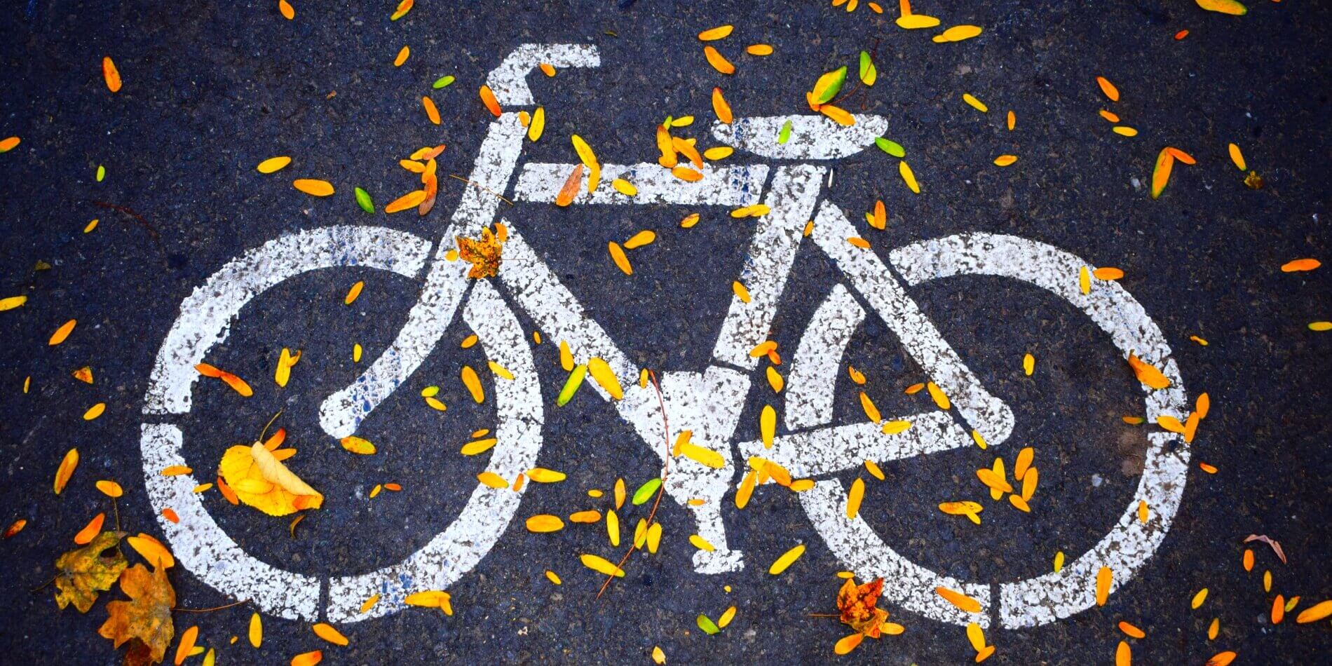 White bicycle symbol painted on a bitumen road with autumn leaves partially covering the road.