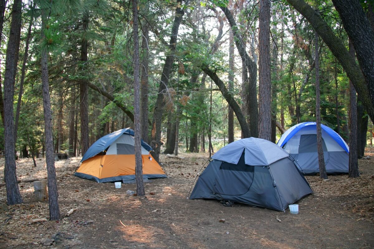 3 tents in a wooded area