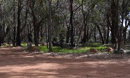 The end / rear section of the car park of Alan Anderson Park. 