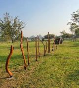 Section of the agility course at Elmore Park Dog Park 