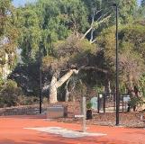 Elmore Park Drink Fountain