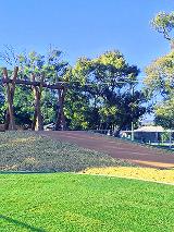 View of Lincoln Reserve's Flying Fox