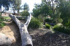 Nature Playscape area in Wattle Grove (The Promenade)