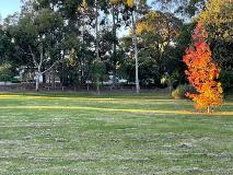 Seaton Park - Lower section of park towards Lesmurdie road