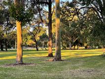 Seaton Park grass area from playground