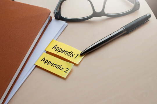 appendix