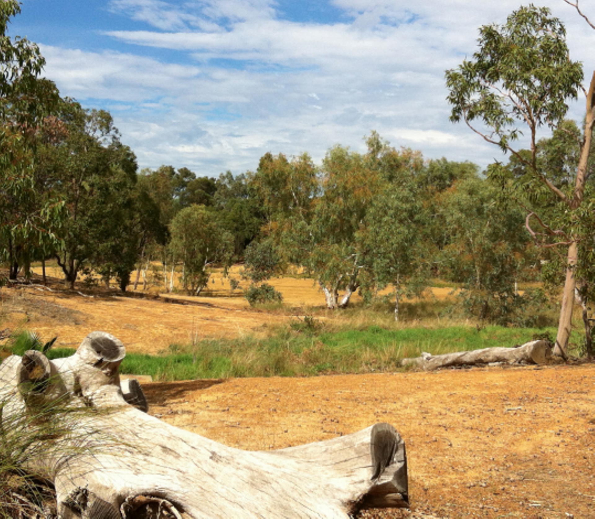 Site Investigations at Cambridge Reserve, Forrestfield