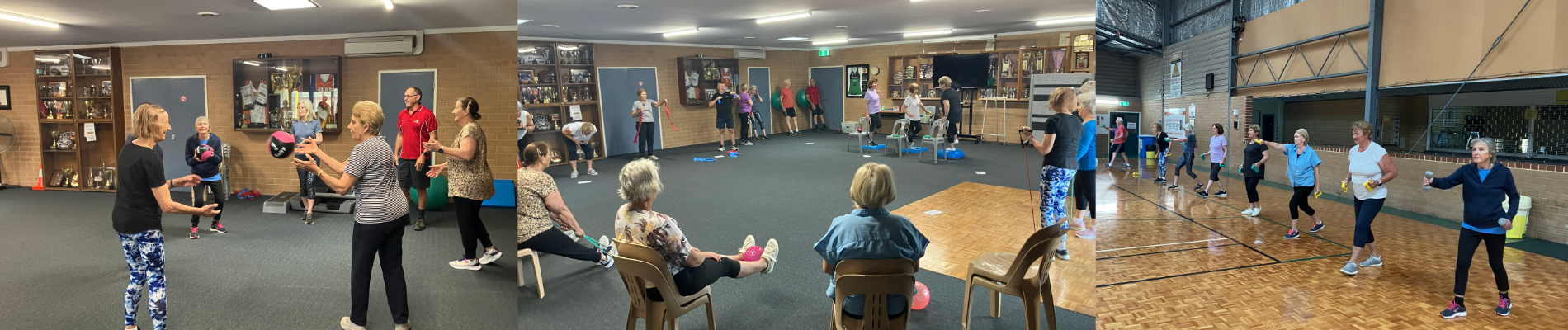 Active Seniors new class - Live Active