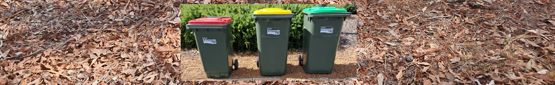 General waste bin sizes