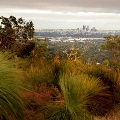 Flora and City views from Zig Zag Scenic Drive 