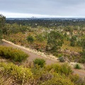 Zig Zag Scenic Road Views